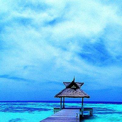 双人植物大战僵尸